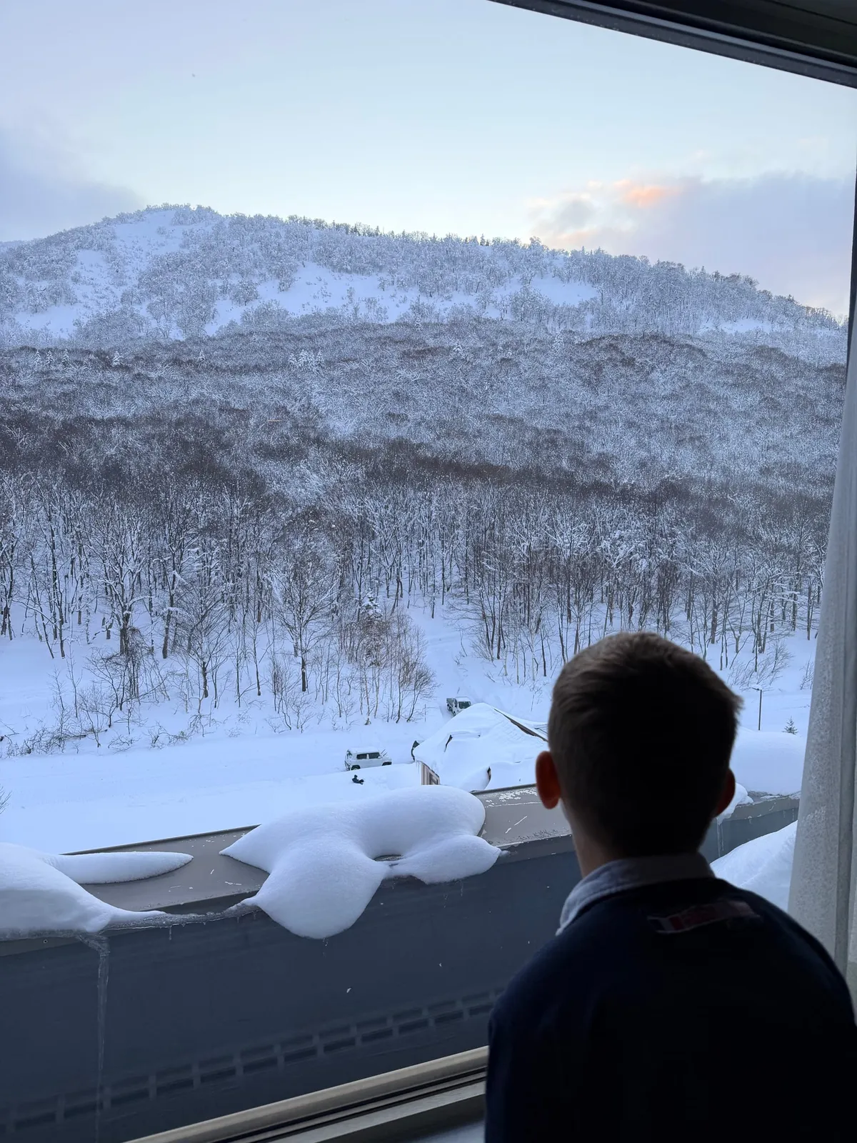 A child gazes out a large window at snow-covered forest and mountains in Japan at dawn.