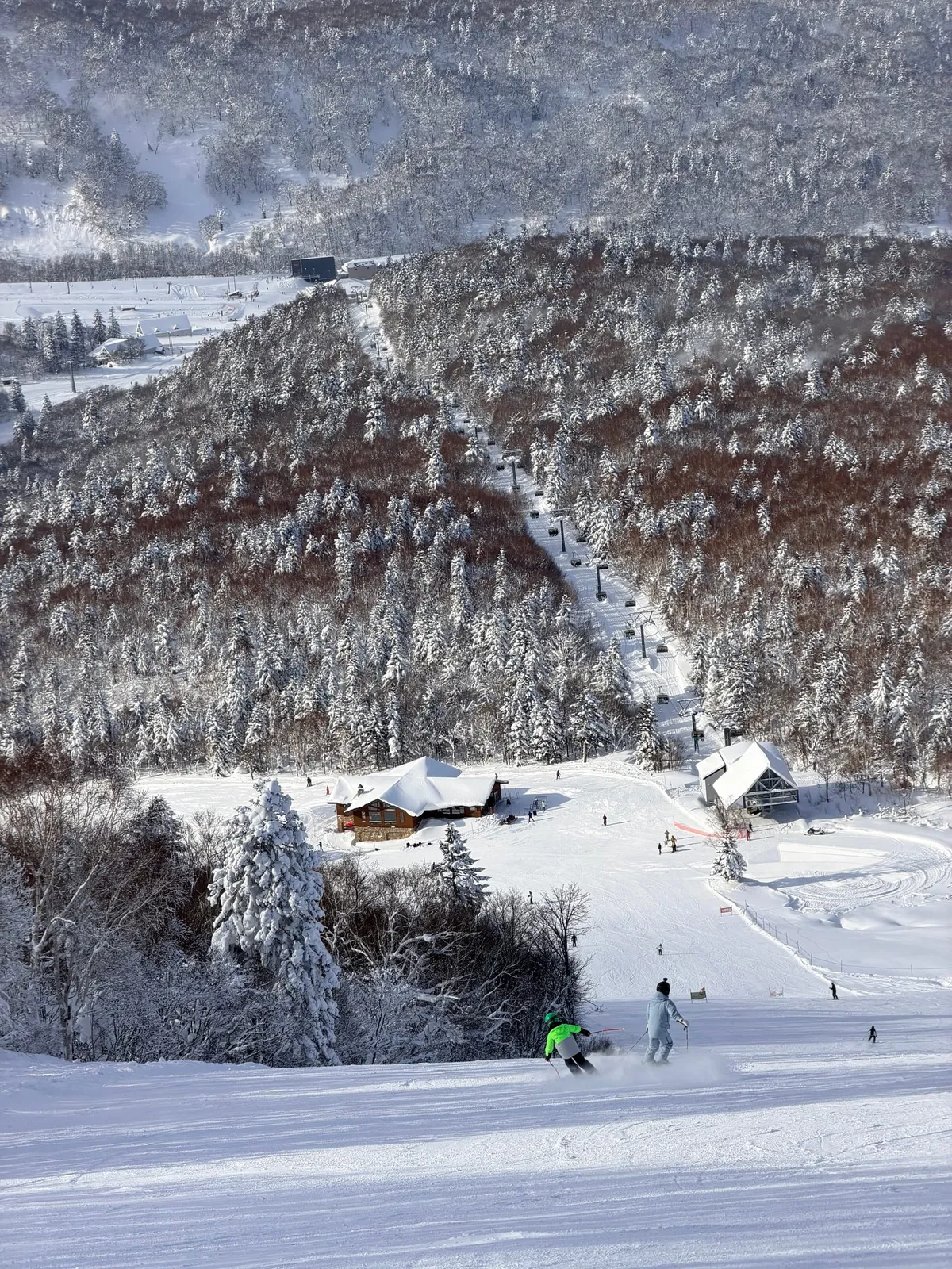 Skiers on a groomed run below snow-covered forest and a chairlift at a Japanese ski resort.